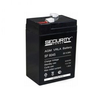 Аккумулятор Pb Security Force 6V 4500 mAh