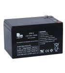 Аккумулятор Xinleina 12V12Ah/20Hr - LW-6FM12